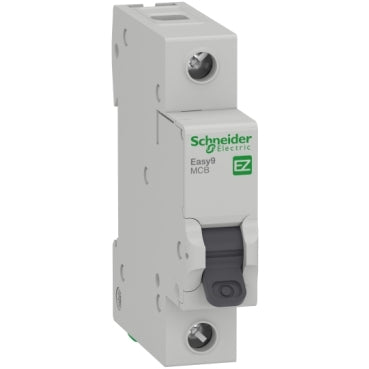 Schneider 10 AMP Breaker